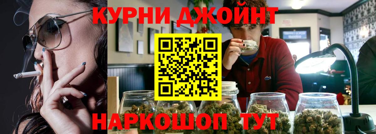 Бошки Шишки гибрид Ирбит